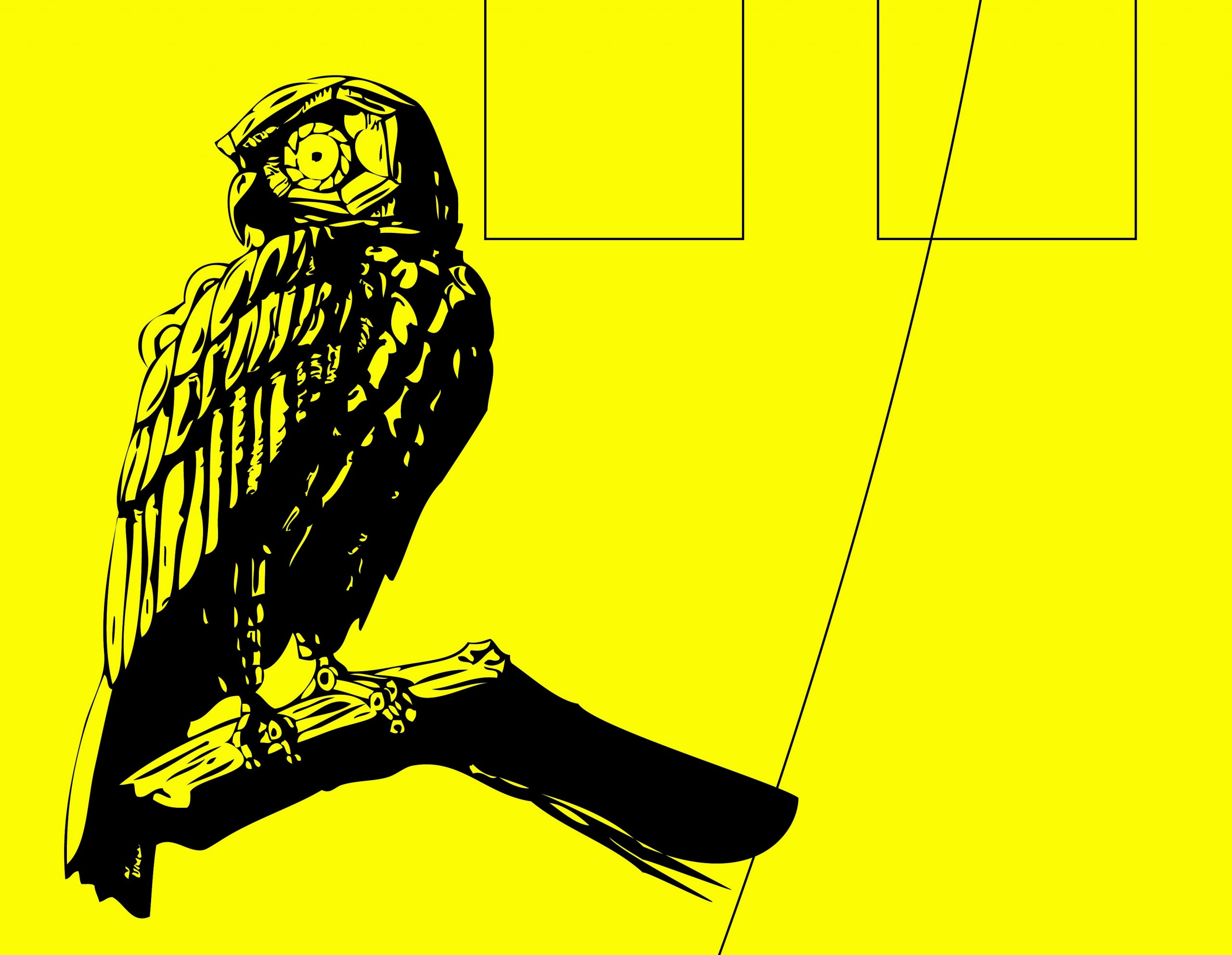 10º Filmworks Film Festival no MIS