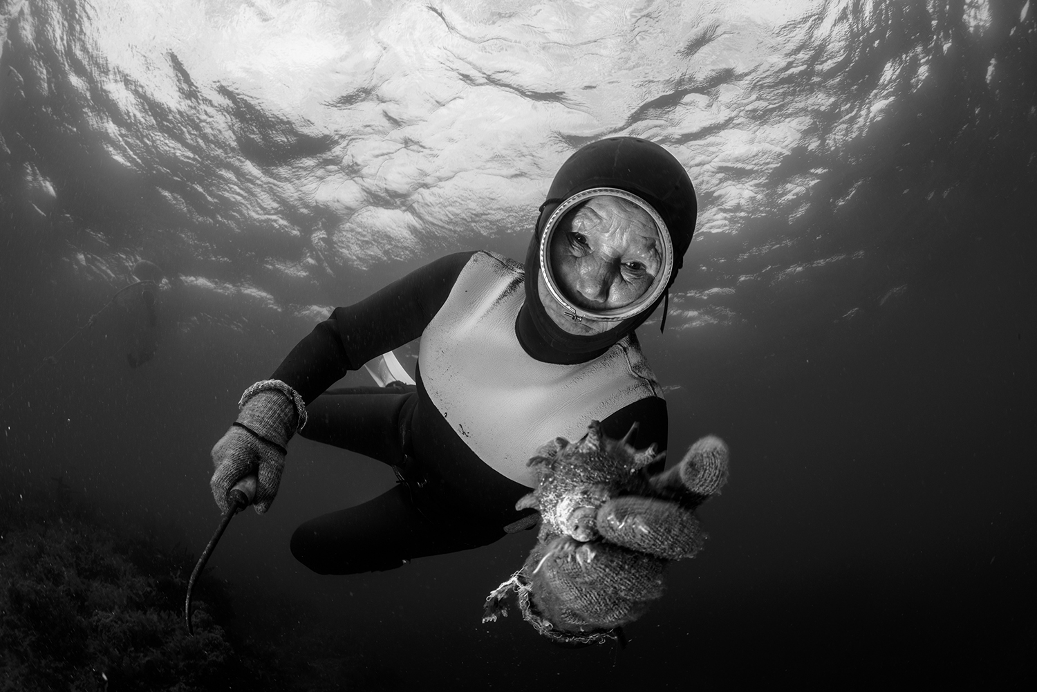 Haenyeo – A força do Mar | Exibição + bate-papo