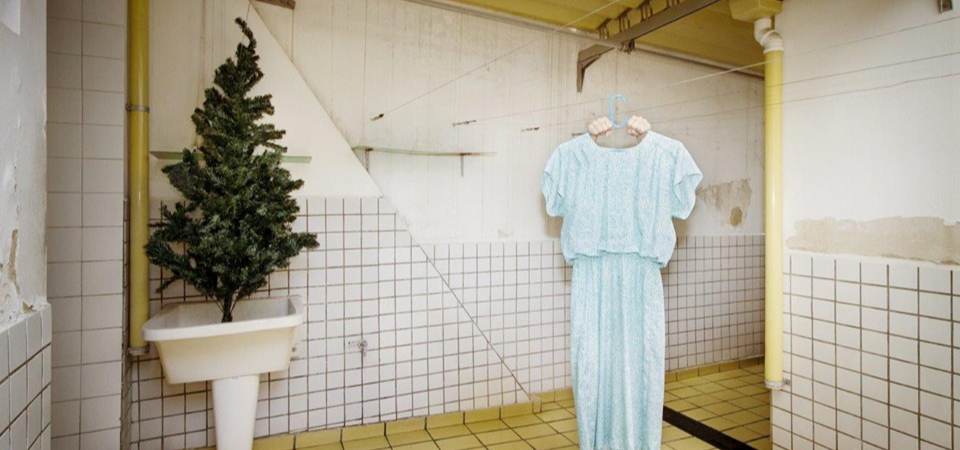 #MISemCASA | Lendo imagens | Camila Picolo