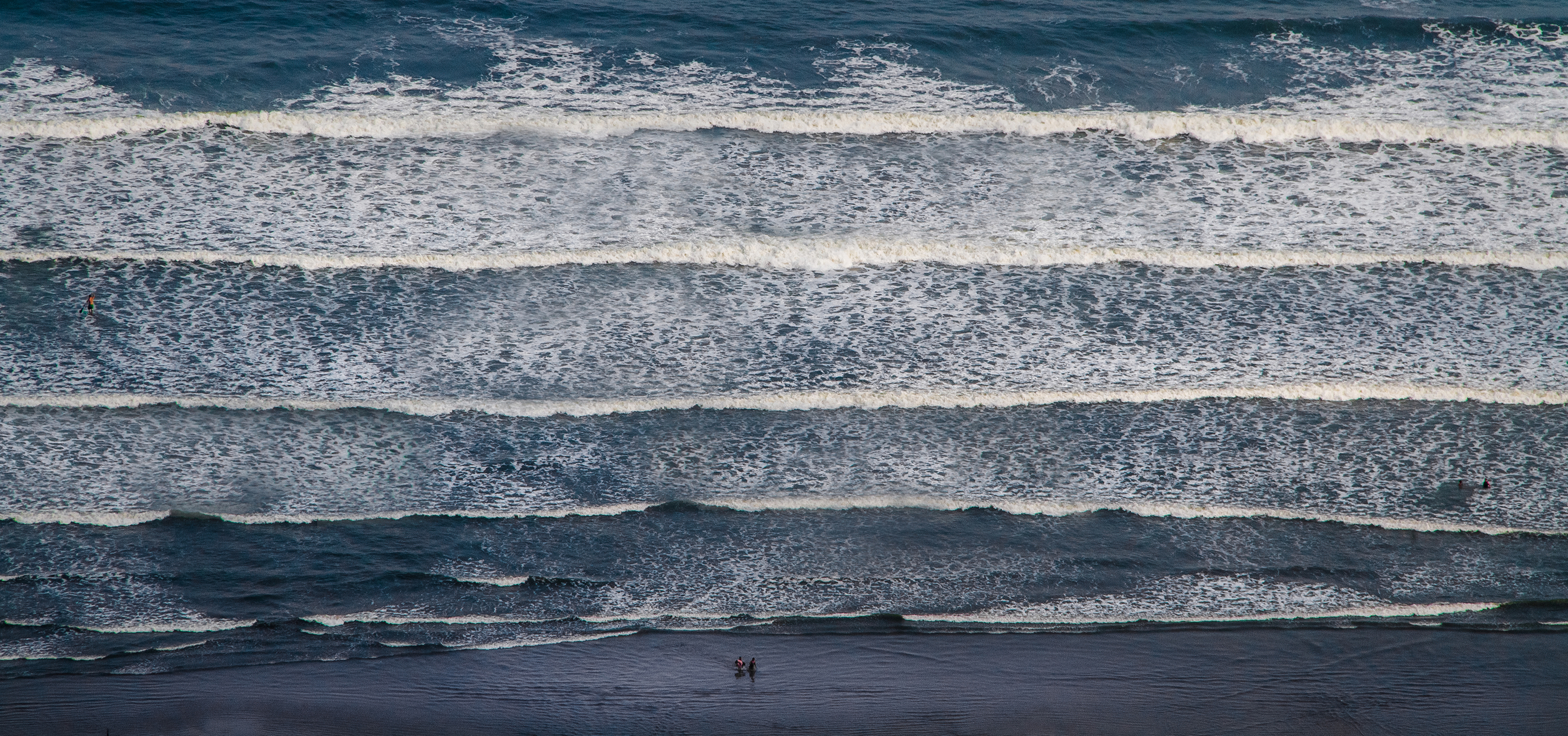 #MISemCASA | Lendo imagens | Sylvia Sanchez