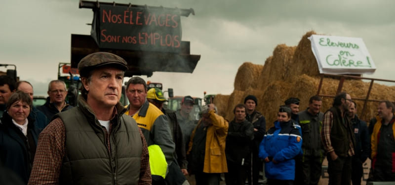 #MISemCASA | Bate-papo de Cinema Pontos MIS | Normandia Nua