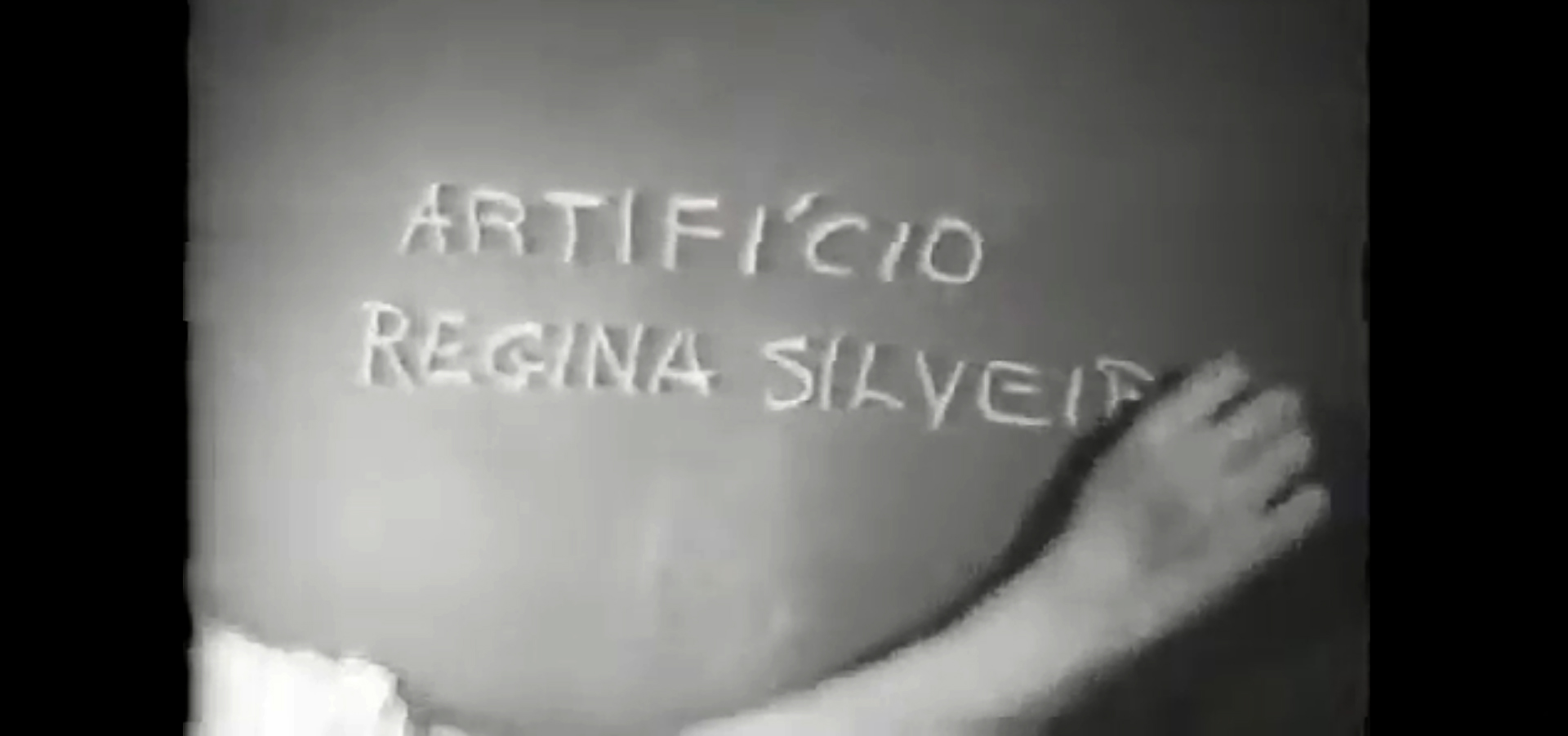 #MISemCASA | VideoArtePapo | Regina Silveira