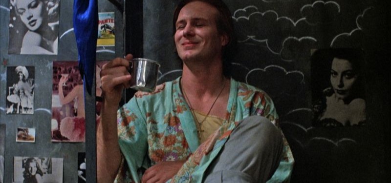 #MISemCASA | Bate-papo de Cinema Pontos MIS | Mostra Babenco – O Beijo de Mulher Aranha