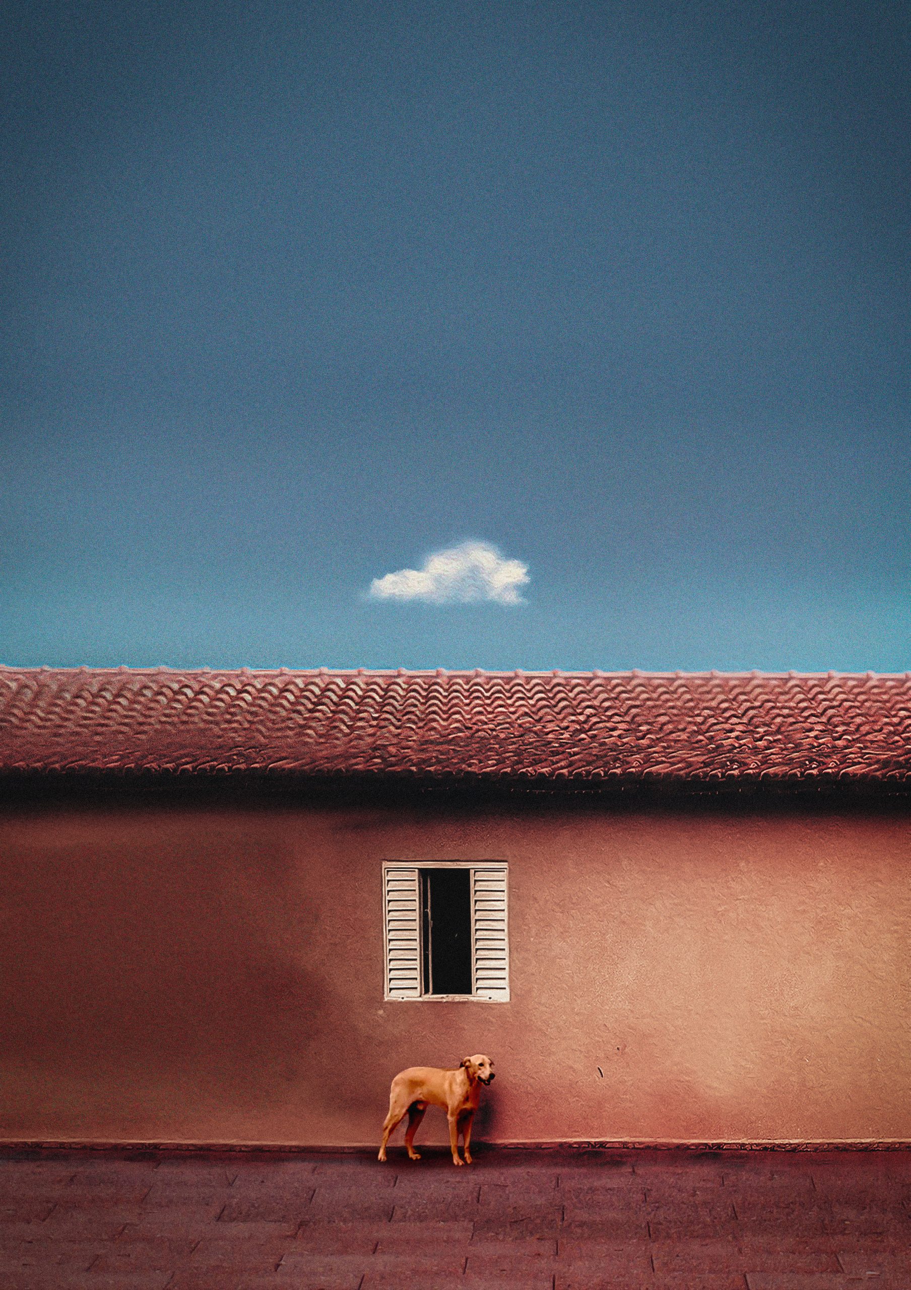 Nova Fotografia | Thiago dos Reis