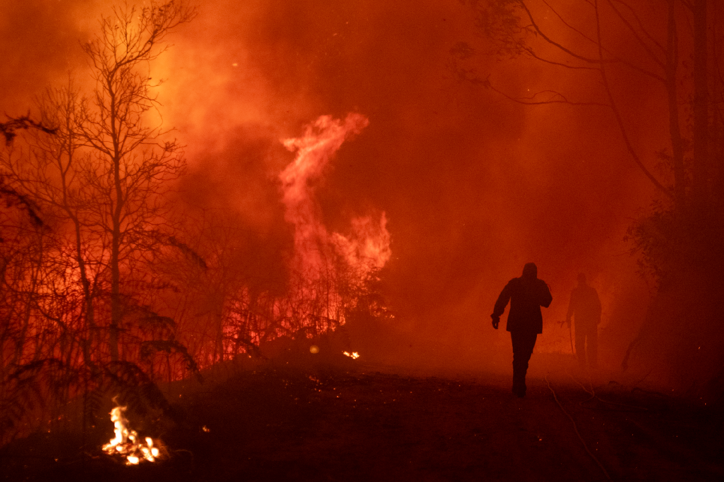 Agenda SP+Verde: Olhares sobre a Mata Atlântica
