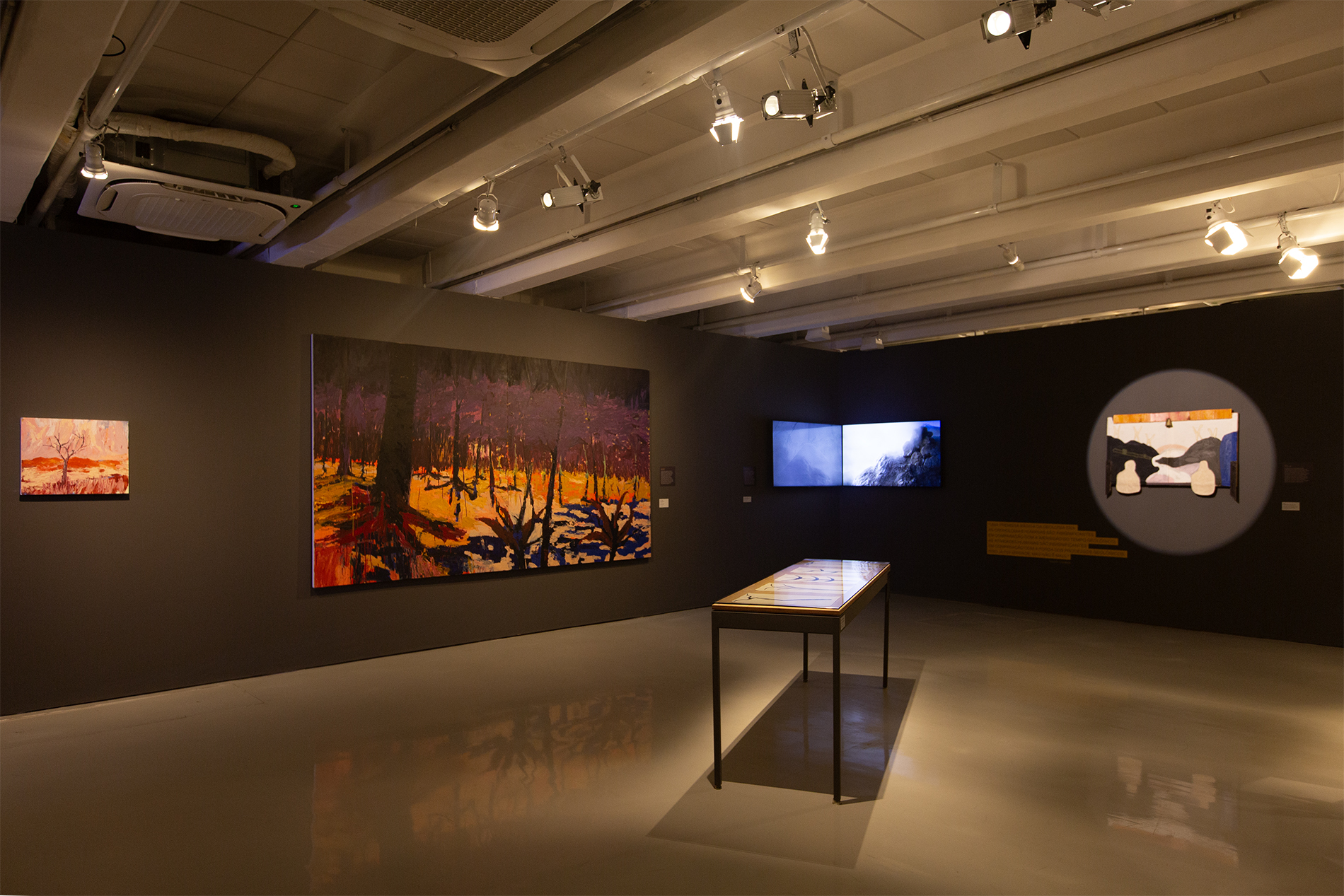 Laboratório de curadoria